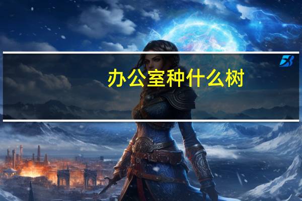 办公室种什么树