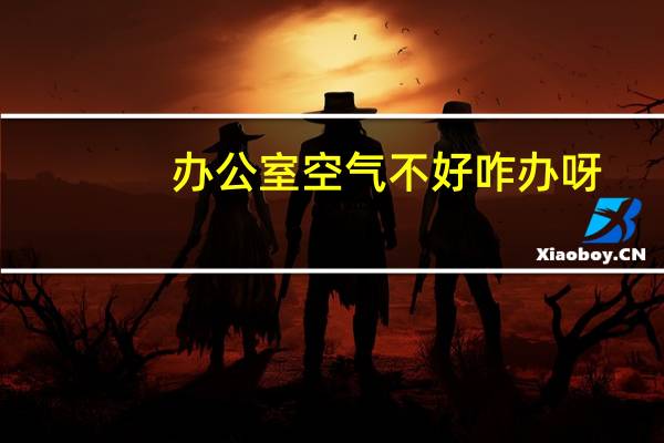 办公室空气不好咋办呀