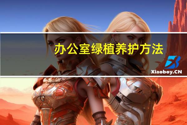 办公室绿植养护方法