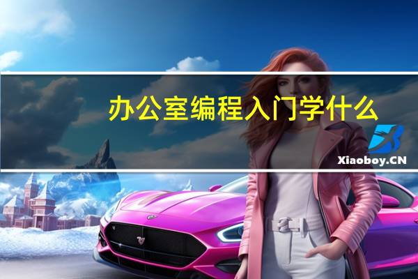 办公室编程入门学什么