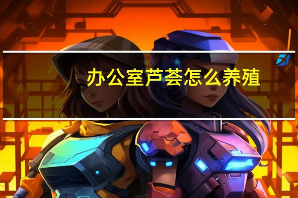 办公室芦荟怎么养殖