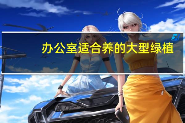 办公室适合养的大型绿植