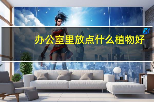 办公室里放点什么植物好