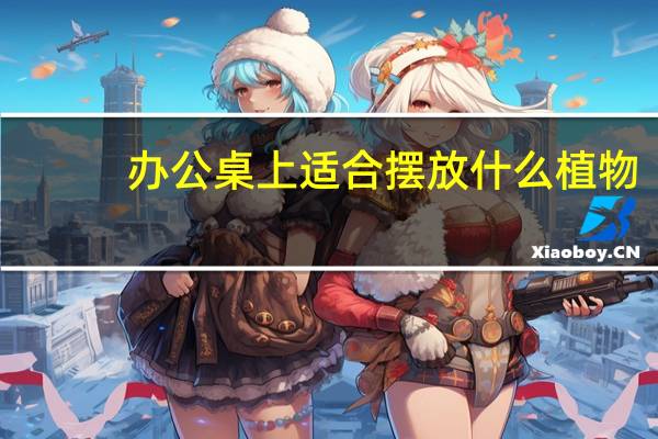 办公桌上适合摆放什么植物