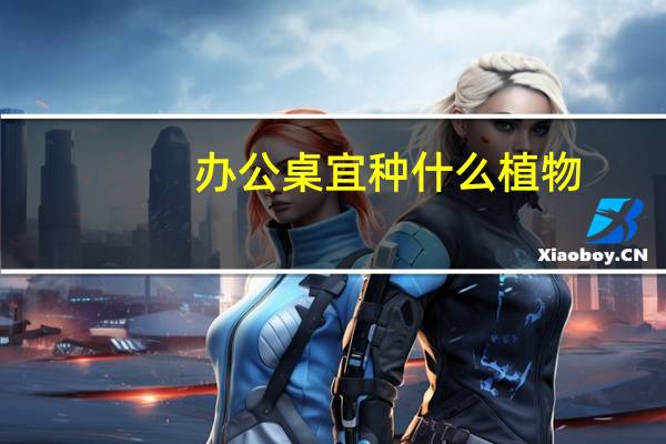 办公桌宜种什么植物