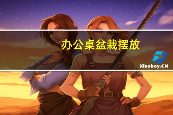 办公桌盆栽摆放