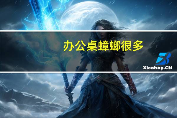 办公桌蟑螂很多