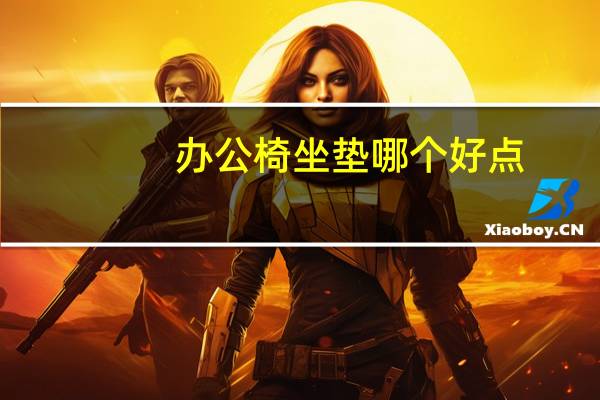 办公椅坐垫哪个好点