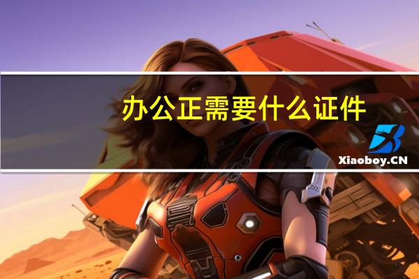 办公正需要什么证件