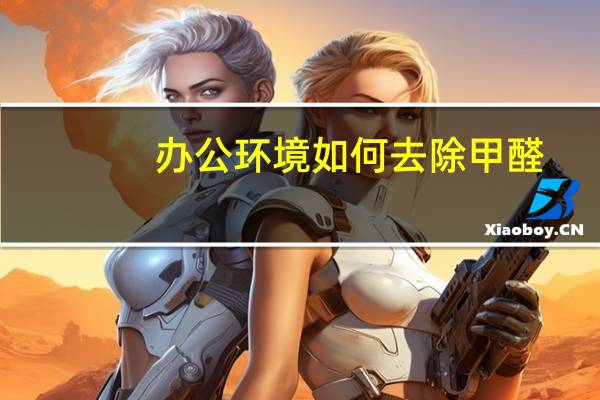 办公环境如何去除甲醛
