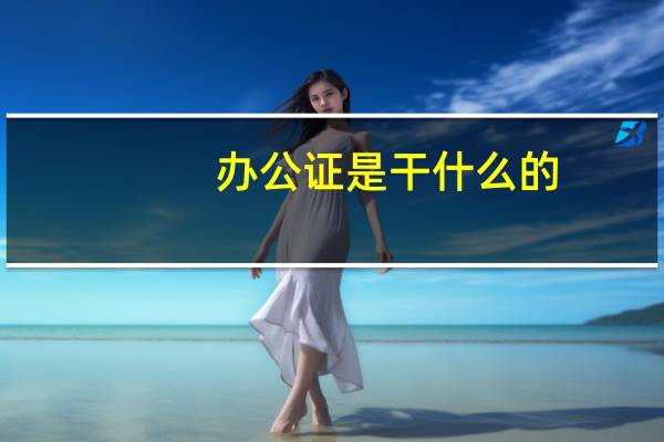 办公证是干什么的