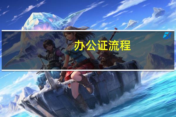 办公证流程