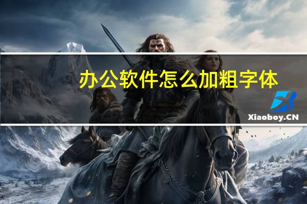 办公软件怎么加粗字体