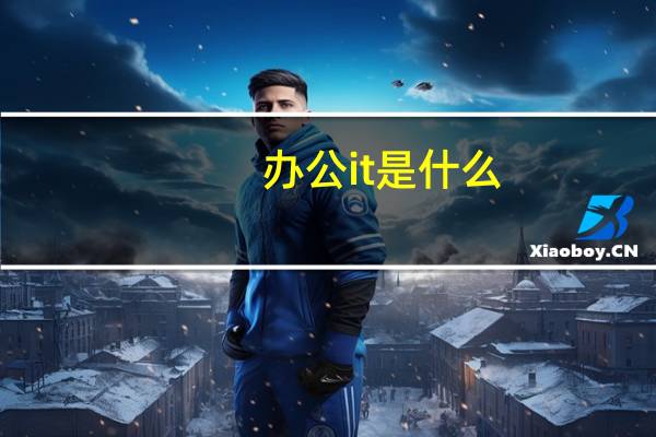 办公it是什么
