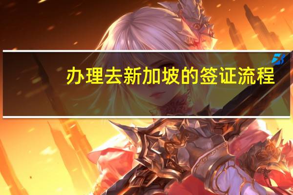 办理去新加坡的签证流程