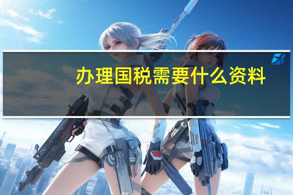 办理国税需要什么资料