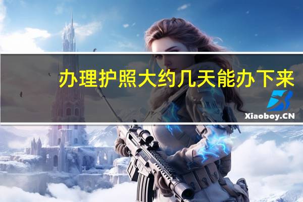 办理护照大约几天能办下来