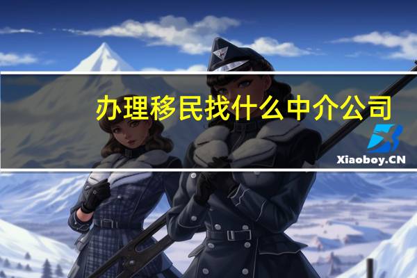 办理移民找什么中介公司