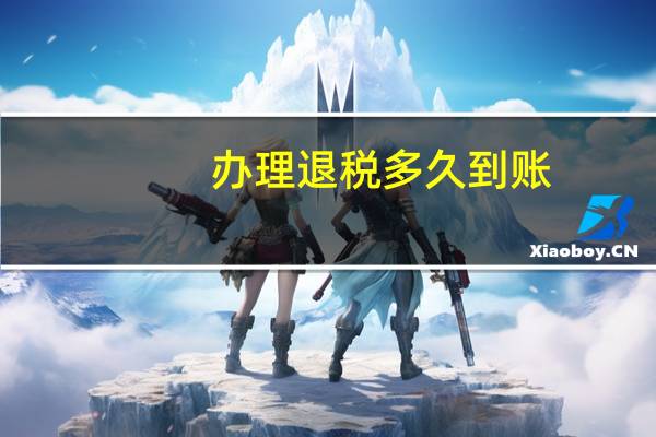 办理退税多久到账
