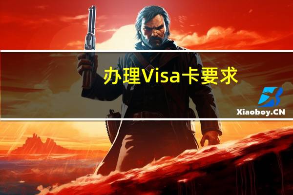办理Visa卡要求