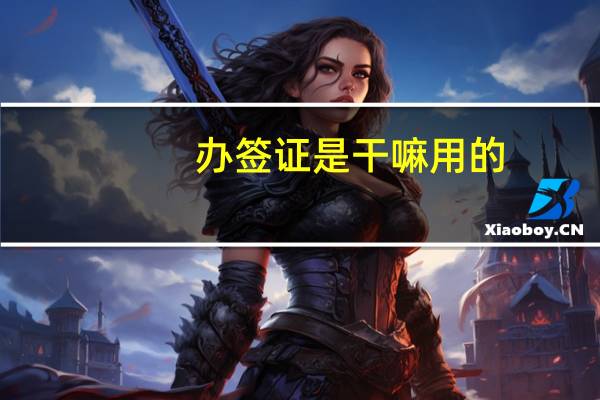 办签证是干嘛用的
