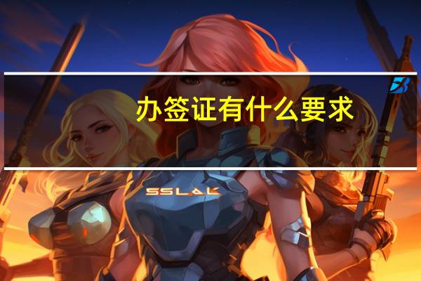 办签证有什么要求