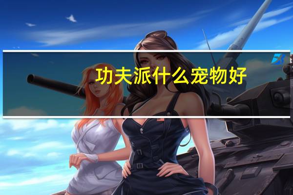 功夫派什么宠物好