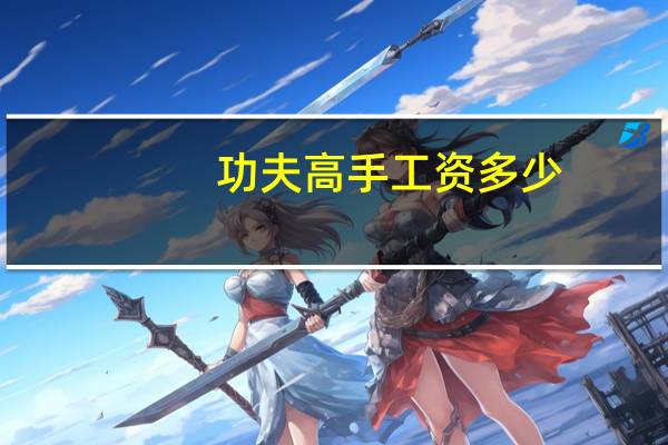 功夫高手工资多少