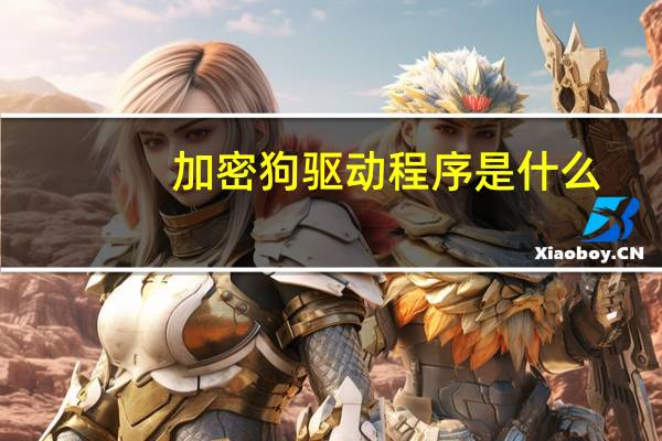加密狗驱动程序是什么