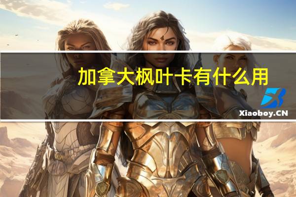加拿大枫叶卡有什么用