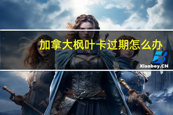 加拿大枫叶卡过期怎么办