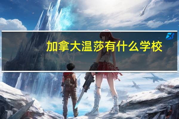加拿大温莎有什么学校