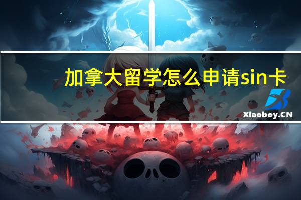 加拿大留学怎么申请sin卡