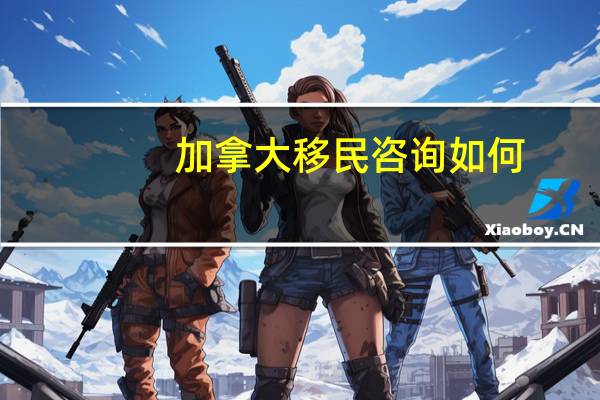 加拿大移民咨询如何