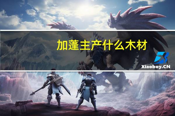 加蓬主产什么木材