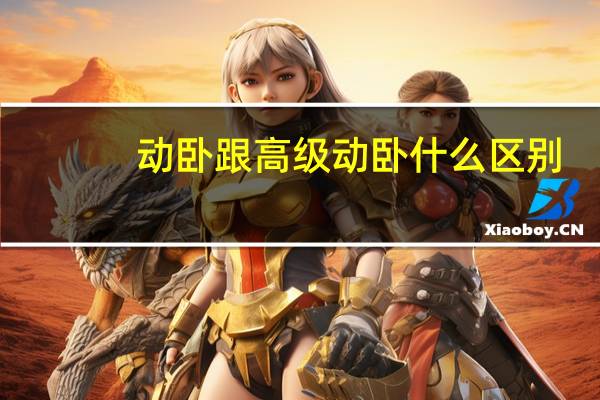 动卧跟高级动卧什么区别
