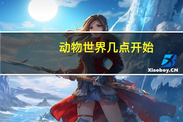 动物世界几点开始