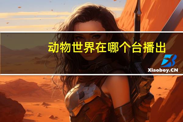 动物世界在哪个台播出