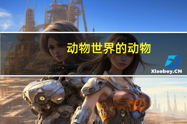 动物世界的动物