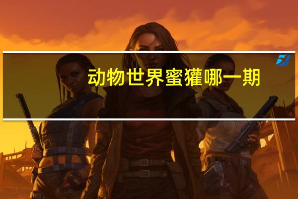 动物世界蜜獾哪一期
