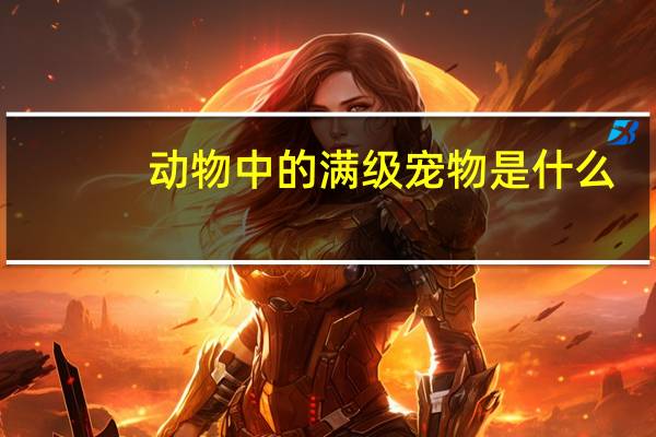 动物中的满级宠物是什么
