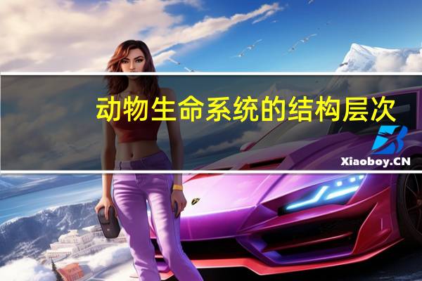 动物生命系统的结构层次