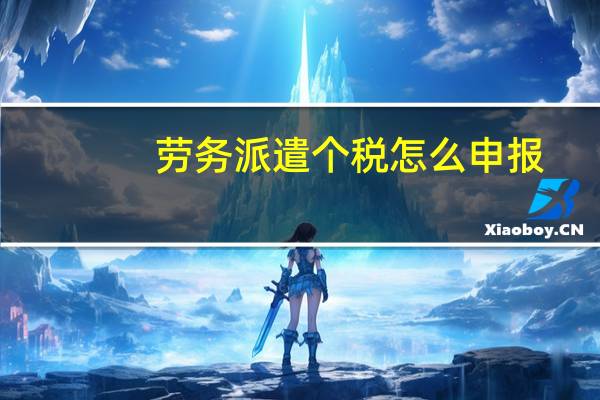 劳务派遣个税怎么申报
