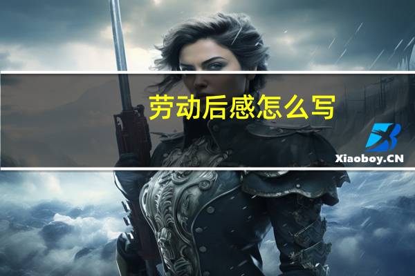 劳动后感怎么写