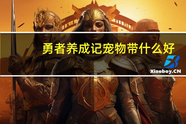 勇者养成记宠物带什么好