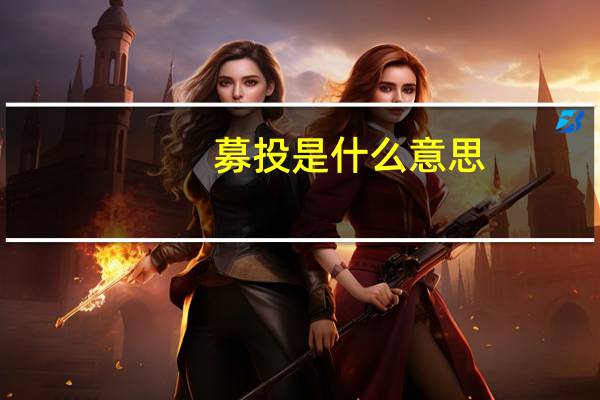 募投是什么意思