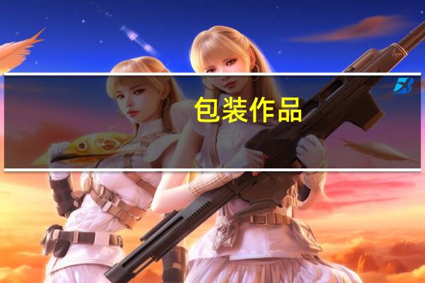 包装作品