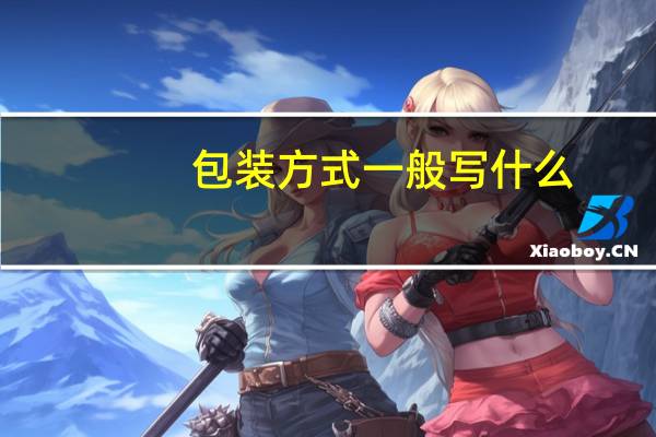 包装方式一般写什么