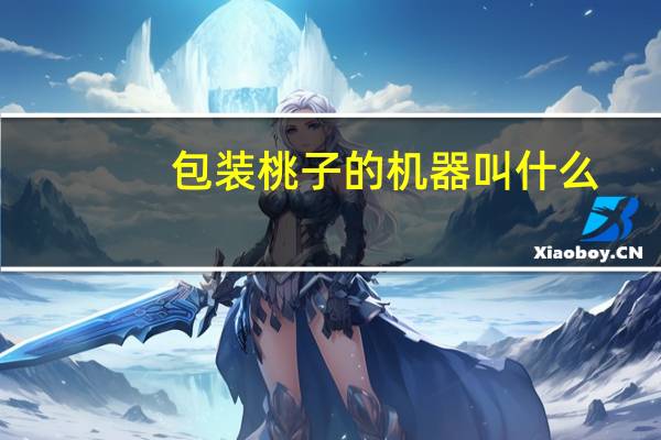 包装桃子的机器叫什么