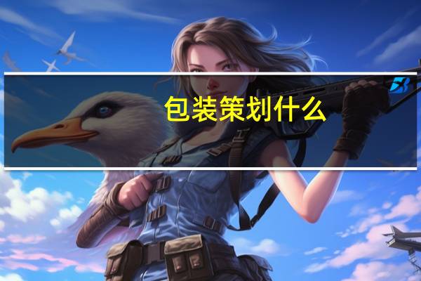 包装策划什么